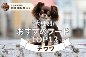 チワワにおすすめ人気ドッグフード(餌)ランキング13選【専門家が厳選】